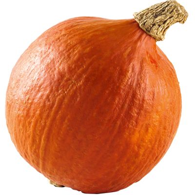 hokkaido pompoen